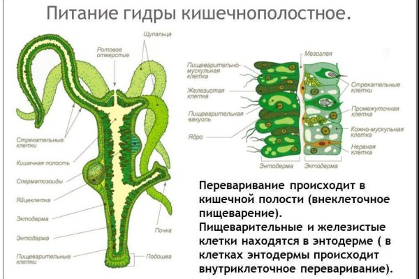 Логин пароль blacksprut