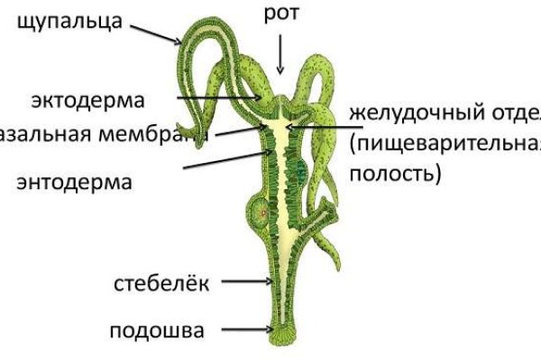 Код blacksprut blacksprute com