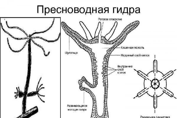 Блэкспрут ссылка pw 1blacksprut me